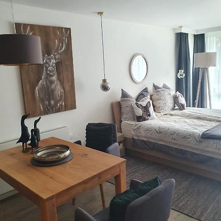 Maurers Schlierseetraum 6, Studio 455 Mit 42 Qm Neu Renoviert, Erdgeschoss Mit Eingezaeunter Terrasse In Ruhiger Lage Am Kirchbichlweg 8 Kültér fotó