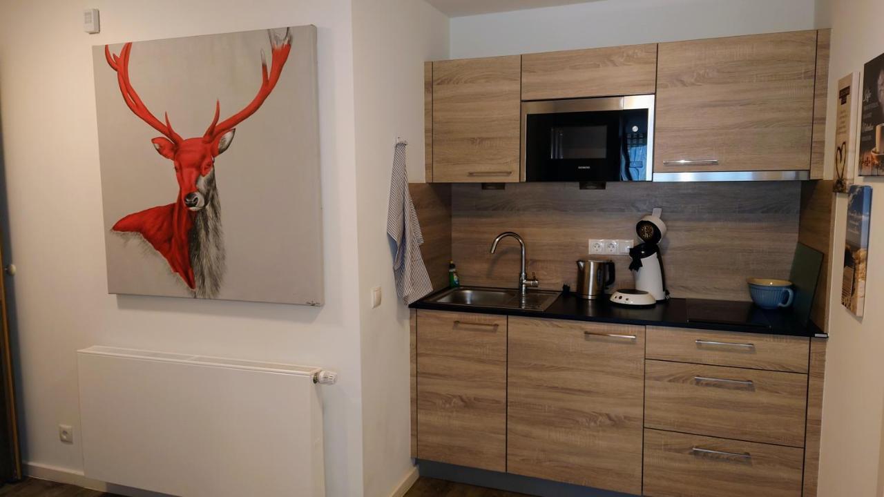Maurers Schlierseetraum 6, Studio 455 Mit 42 Qm Neu Renoviert, Erdgeschoss Mit Eingezaeunter Terrasse In Ruhiger Lage Am Kirchbichlweg 8 Kültér fotó