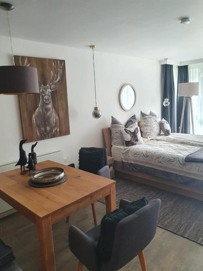 Maurers Schlierseetraum 6, Studio 455 Mit 42 Qm Neu Renoviert, Erdgeschoss Mit Eingezaeunter Terrasse In Ruhiger Lage Am Kirchbichlweg 8 Kültér fotó